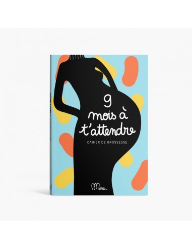 Cahier de grossesse 9 mois à t'attendre