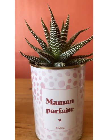 Plante - Maman parfaite