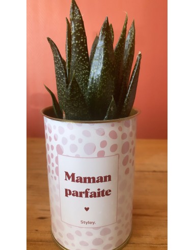 Plante - Maman parfaite