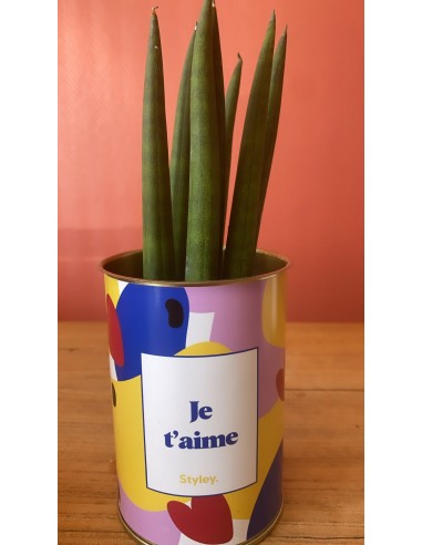 Plante - je t'aime