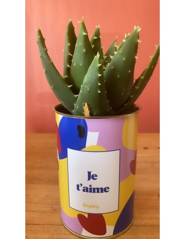 Plante - je t'aime