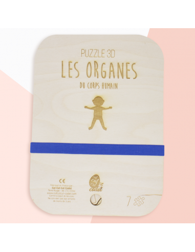 PUZZLE 3D LES ORGANES ET LEURS FONCTIONS VITALES